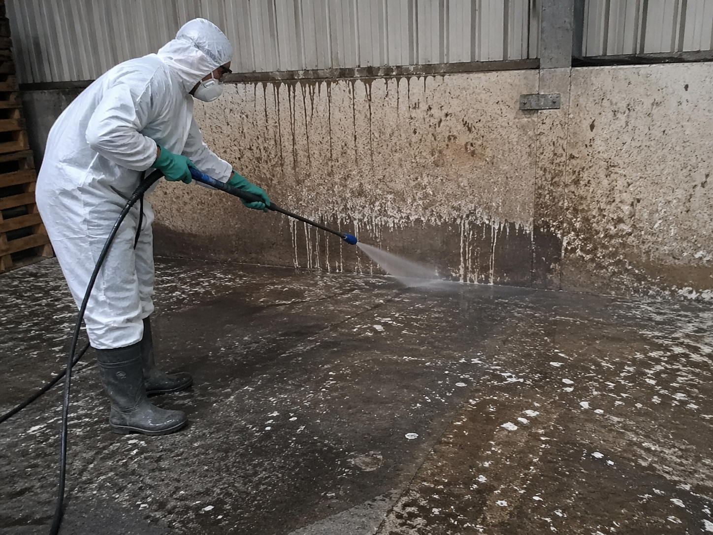 Agent équipé d’une combinaison de protection en train de nettoyer des fientes de pigeon dans un entrepôt ou un hangar industriel