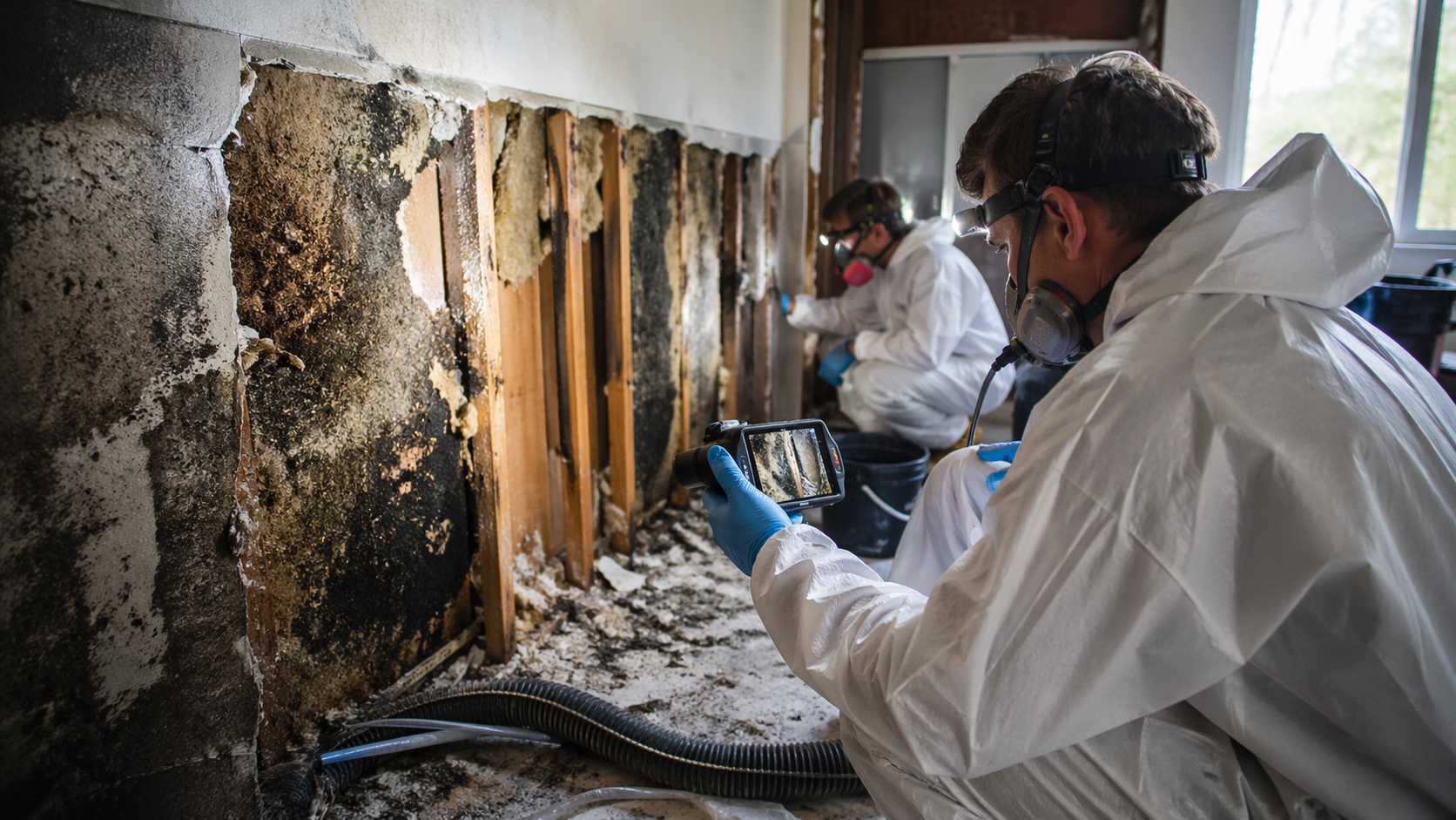 Intervention spécialisée après une découverte tardive de dégâts d’humidité et de moisissures dans un mur intérieur